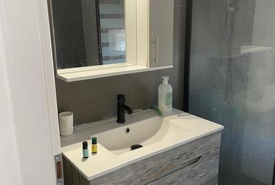 Vanzare apartament 2 camere Vitan / Mihai Bravu / Dristor Vanzare apartament 2 camere Vitan / Mihai Bravu / Dristor - 4