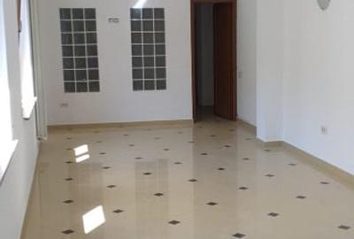 Casă individuală cu 5 camere în Domenii