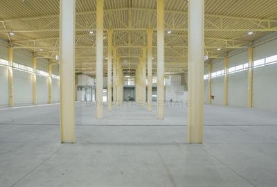 Spațiu industrial, de 420 mp, în Sud - 14