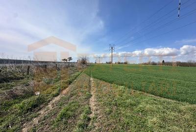 Teren Construcții extravilan de 18000 mp, în Valu lui Traian - 2