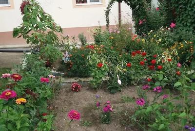 Casă cu 2 camere cu Teren 400 Mp în Gura Humorului - 8