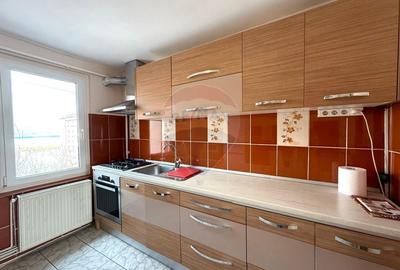 Apartament 4 camere de inchiriat, complet mobilat si utilat - 16
