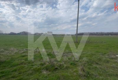 Teren Construcții intravilan de 1000 mp, în Cârcea - 6