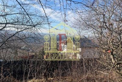 Teren Construcții intravilan de 2000 mp, în Pietrărie - 6