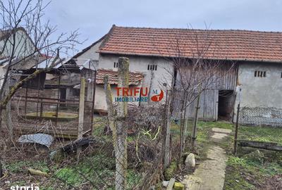 Casă cu 5 camere cu Teren 1651 Mp în Bărăbanț - 10