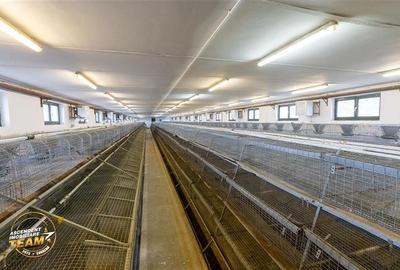 Spațiu comercial, de 794 mp, în Malnaș - 8