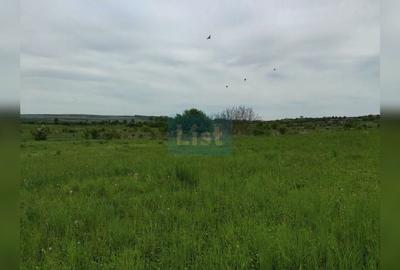 Teren agricol intravilan de 800 mp, în Sopor - 3