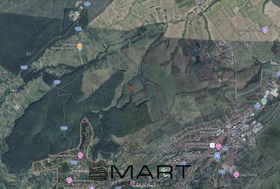 Teren agricol extravilan de 21000 mp, în Cisnădie - 1