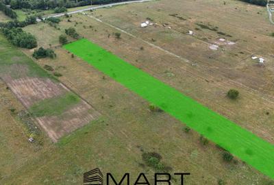 Teren de 5000 mp, în Avrig - 2