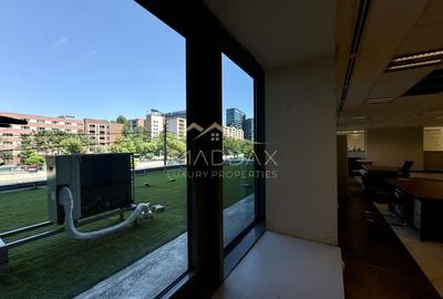 Spatiu comercial stradal *184mp* + curte *260mp* // Grozavesti - 11