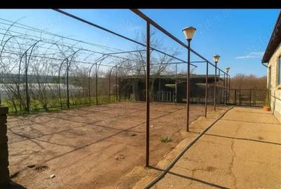 Proprietar vand casa cu teren 2500m2 in Domne?ti Ilfov - 3