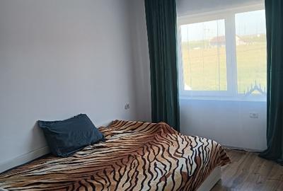 Duplex cu 4 camere cu Teren 345 Mp în Remetea Mare - 5