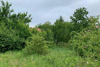 Teren intravilan cu utilita?i, livada ?i casa batraneasca Pietrarie,Barnova: Investi?ie cu poten?ial - 8