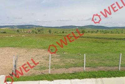 De vânzare teren extravilan în  loc. Sărămaș, com. Barcani! - 3