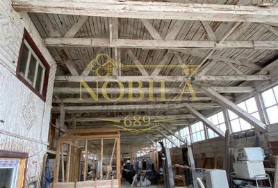 Spațiu comercial, în Agăș - 3