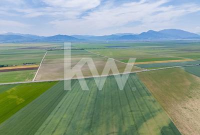 Teren de vanzare I 8 Euro/ mp I Deschidere la drum - Harman - 14