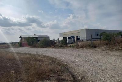 Teren de 10000 mp, în Dascălu - 4