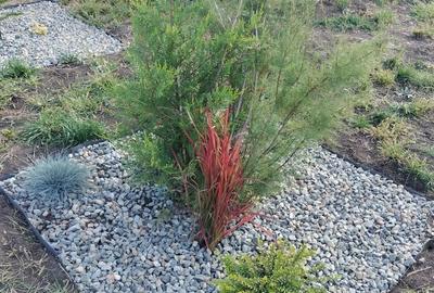 Spațiu comercial, în Feiurdeni - 5