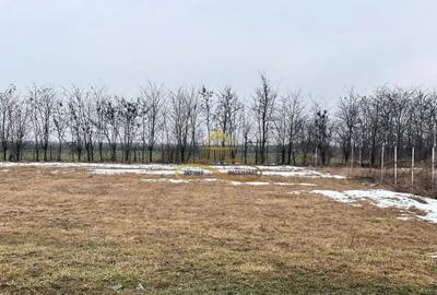 Teren în Săucești - 1