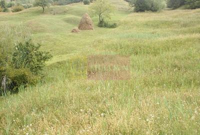 Teren agricol extravilan de 4404 mp, în Telega - 2