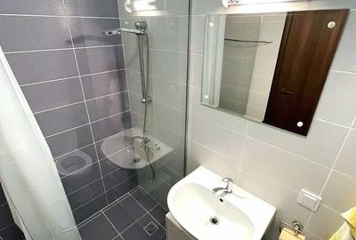 Apartament cu 2 camere decomandat, mobilat în Lazaret - 6
