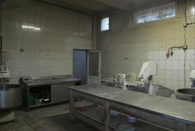 Spatiu comercial+brutarie, suprafata utila 500mp, zona centrala, Nucet - 3