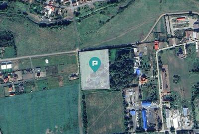 Teren intravilan cu balta de pescuit - 3