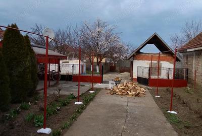 Casă în Iecea Mare - 4
