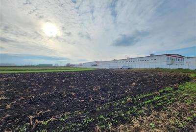 Vanzare Teren pretabil constructie hale, 28.100 mp, Halchiu - 11