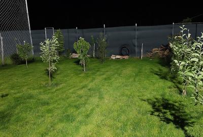 Berceni, Dealul Verde Berceni, Dealul Verde - 4