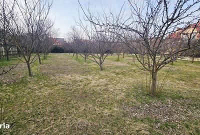 Teren de 1000 mp, în Gruiu - 7