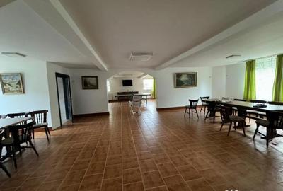 Casă cu 7 camere cu Teren 2500 Mp în Sucevița - 9