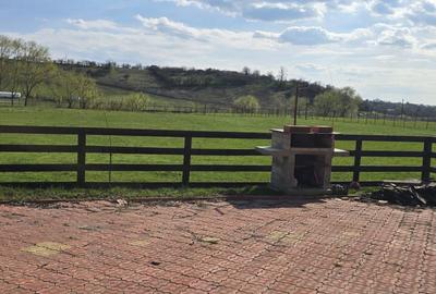 Teren de 60000 mp, în Stoenești - 4