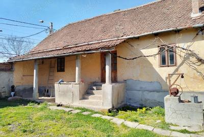Casă cu Teren 1300 Mp în Central - 1