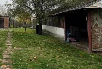 Vand Casa batraneasca in comuna Popesti-Palanga ,Arges - 4