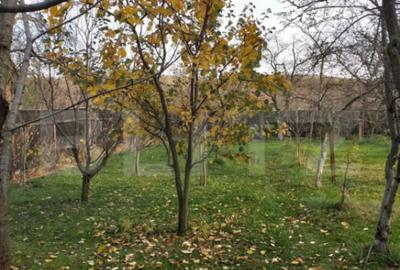 Casă cu 7 camere în Zizin