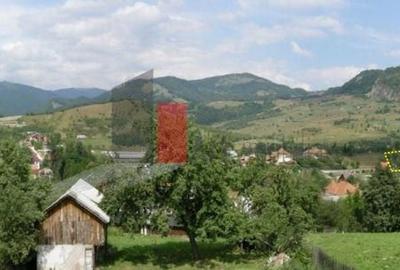 Teren intravilan 3214 mp  în Rucăr cu deschidere 56 m în DN73 - 4