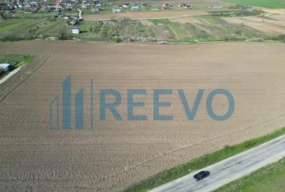 Teren de vanzare, Com. Nicolae Balcescu, Jud. Bacau - 6