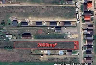 Teren Construcții intravilan de 2500 mp, în Clinceni - 6