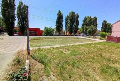 Teren de 2500 mp, în Sânandrei - 1