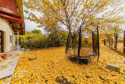 Casa ideala pt familie numeroasa sau spatiu de birouri, teren 908 mp, Gai - 3