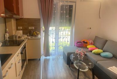 Apartament cu 2 camere semidecomandat în Dumbrăvița - 3