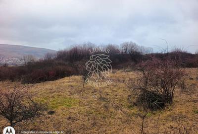 Teren agricol intravilan de 10000 mp, în Chinteni - 1