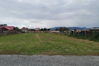 Teren de 1460 mp, în Mihai Viteazu - 4