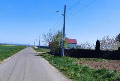 Vand teren 8100 mp Vand teren 8100 mp - 2