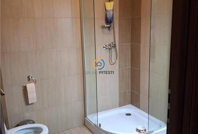 Duplex cu 4 camere cu Canalizare în Ștefănești - 25