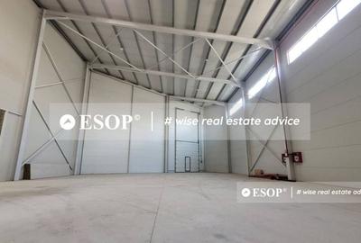 Hala de vanzare,  zona Mogosoaia, 1500mp, ID 15424, - 2