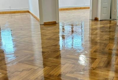 Parcul Carol, Str. Deceneu nr. 8, casa smart spatioasa Parcul Carol, Str. Deceneu nr. 8, casa smart spatioasa - 13