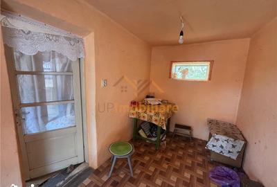 Casă cu 4 camere cu Teren 5526 Mp în Cociuba Mare - 4