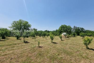 1000MP Teren Intravilan | Prahova - Cornu De Jos | Toate Utilitatile Prezente - 6